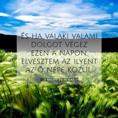 Picture 07 - 3 Mózes 23:30 KAR - És ha valaki valami dolgot végez ezen a napon, - Bible Verse Picture