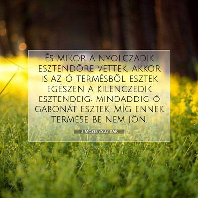 Picture 07 - 3 Mózes 25:22 KAR - És mikor a nyolczadik esztendõre vettek, akkor - Bible Verse Picture
