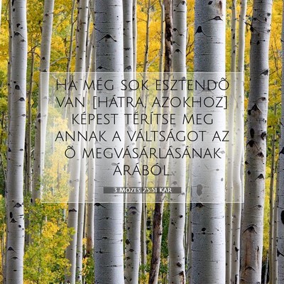 Picture 07 - 3 Mózes 25:51 KAR - Ha még sok esztendõ van [hátra, azokhoz] - Bible Verse Picture