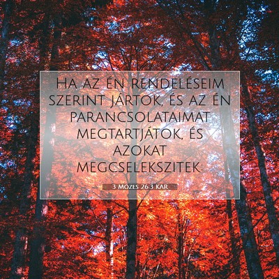 Picture 07 - 3 Mózes 26:3 KAR - Ha az én rendeléseim szerint jártok, és az - Bible Verse Picture