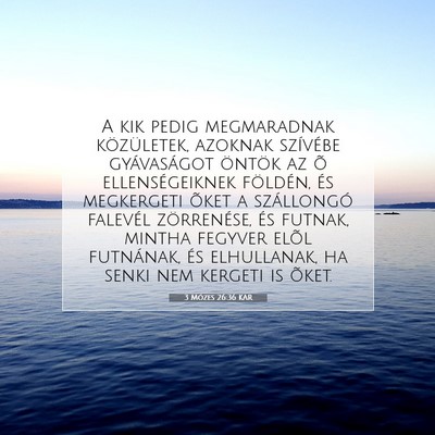 Picture 07 - 3 Mózes 26:36 KAR - A kik pedig megmaradnak közületek, azoknak - Bible Verse Picture