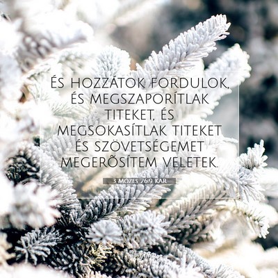 Picture 07 - 3 Mózes 26:9 KAR - És hozzátok fordulok, és megszaporítlak - Bible Verse Picture