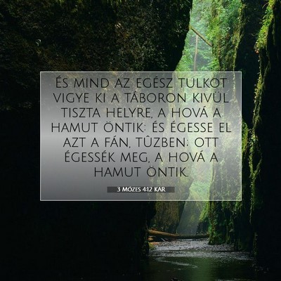 Picture 07 - 3 Mózes 4:12 KAR - És mind az egész tulkot vigye ki a táboron - Bible Verse Picture