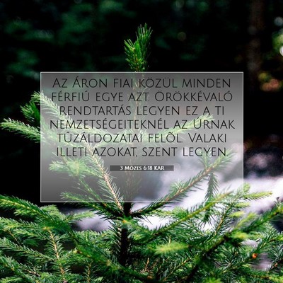 Picture 07 - 3 Mózes 6:18 KAR - Az Áron fiai közül minden férfiú egye azt. - Bible Verse Picture