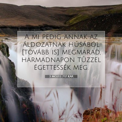 Picture 07 - 3 Mózes 7:17 KAR - A mi pedig annak az áldozatnak húsából - Bible Verse Picture