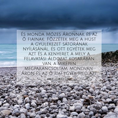 Picture 07 - 3 Mózes 8:31 KAR - És monda Mózes Áronnak és az õ fiainak: - Bible Verse Picture