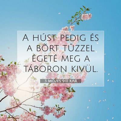 Picture 07 - 3 Mózes 9:11 KAR - A húst pedig és a bõrt tûzzel égeté meg a - Bible Verse Picture