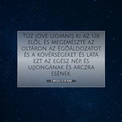 Picture 07 - 3 Mózes 9:24 KAR - Tûz jöve ugyanis ki az Úr elõl, és - Bible Verse Picture