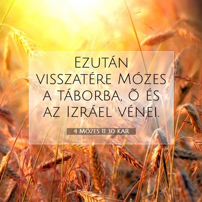 Picture 07 - 4 Mózes 11:30 KAR - Ezután visszatére Mózes a táborba, õ és az - Bible Verse Picture