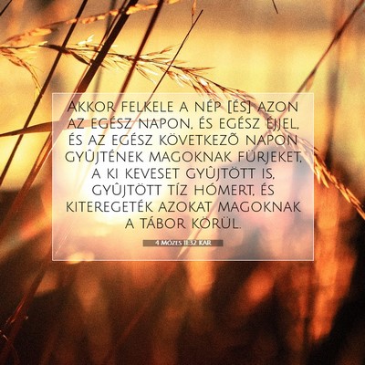 Picture 07 - 4 Mózes 11:32 KAR - Akkor felkele a nép [és] azon az egész napon, - Bible Verse Picture