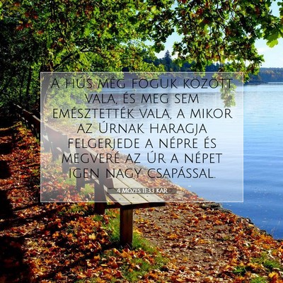Picture 07 - 4 Mózes 11:33 KAR - A hús még foguk között vala, és meg sem - Bible Verse Picture