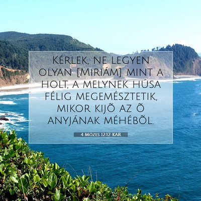 Picture 07 - 4 Mózes 12:12 KAR - Kérlek, ne legyen olyan [Miriám] mint a holt, a - Bible Verse Picture