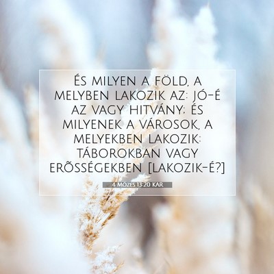 Picture 07 - 4 Mózes 13:20 KAR - És milyen a föld, a melyben lakozik az: jó-é - Bible Verse Picture