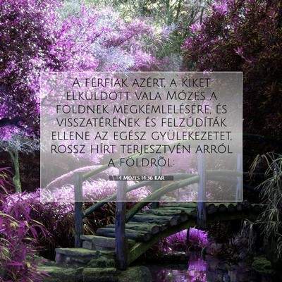 Picture 07 - 4 Mózes 14:36 KAR - A férfiak azért, a kiket elküldött vala - Bible Verse Picture