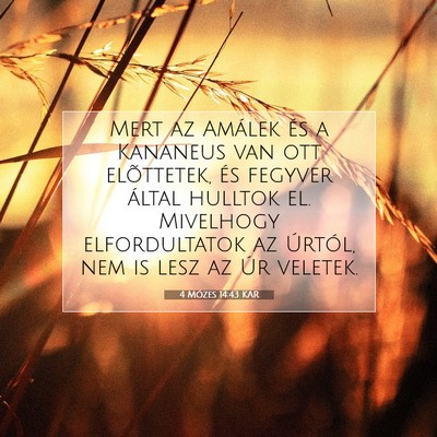 Picture 07 - 4 Mózes 14:43 KAR - Mert az Amálek és a Kananeus van ott - Bible Verse Picture