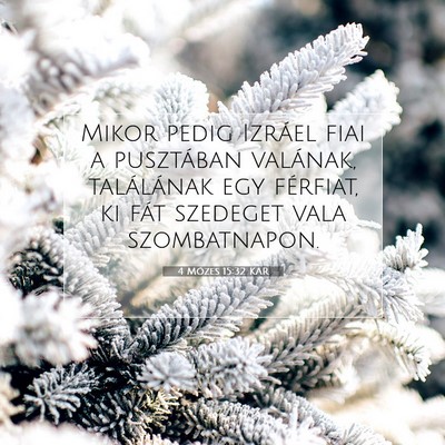 Picture 07 - 4 Mózes 15:32 KAR - Mikor pedig Izráel fiai a pusztában valának, - Bible Verse Picture
