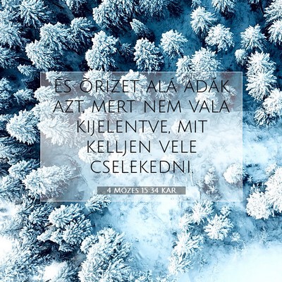 Picture 07 - 4 Mózes 15:34 KAR - És õrizet alá adák azt, mert nem vala - Bible Verse Picture