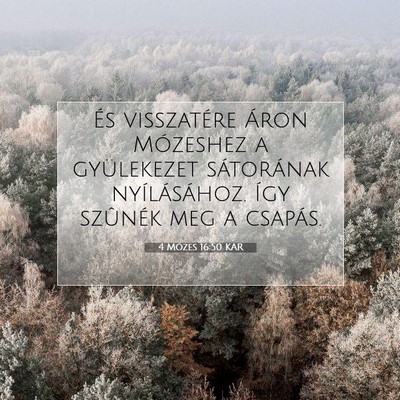 Picture 07 - 4 Mózes 16:50 KAR - És visszatére Áron Mózeshez a gyülekezet - Bible Verse Picture