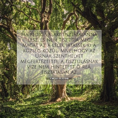 Picture 07 - 4 Mózes 19:20 KAR - Ha pedig valaki tisztátalanná lesz, és nem - Bible Verse Picture