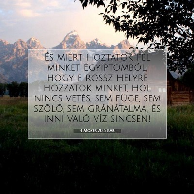 Picture 07 - 4 Mózes 20:5 KAR - És miért hoztatok fel minket Égyiptomból, - Bible Verse Picture