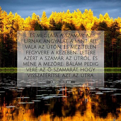 Picture 07 - 4 Mózes 22:23 KAR - És meglátá a szamár az Úrnak angyalát, a - Bible Verse Picture