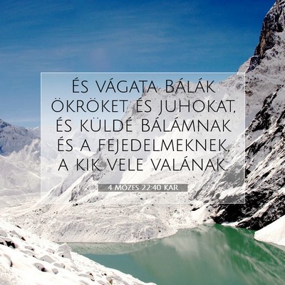 Picture 07 - 4 Mózes 22:40 KAR - És vágata Bálák ökröket és juhokat, és - Bible Verse Picture