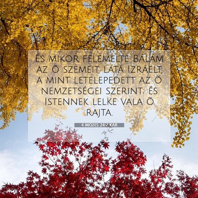 Picture 07 - 4 Mózes 24:2 KAR - És mikor felemelte Bálám az õ szemeit, látá - Bible Verse Picture