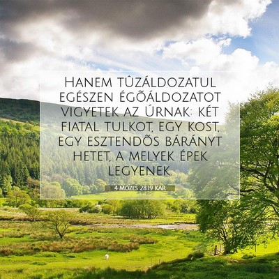 Picture 07 - 4 Mózes 28:19 KAR - Hanem tûzáldozatul egészen égõáldozatot - Bible Verse Picture