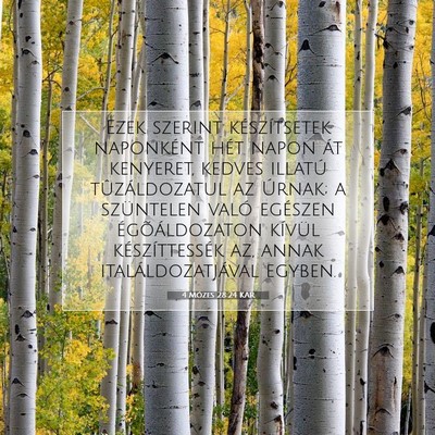 Picture 07 - 4 Mózes 28:24 KAR - Ezek szerint készítsetek naponként hét napon - Bible Verse Picture