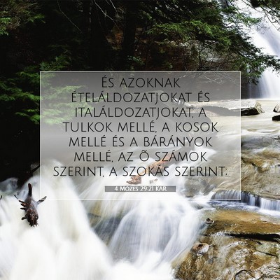 Picture 07 - 4 Mózes 29:21 KAR - És azoknak ételáldozatjokat és - Bible Verse Picture