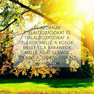 Picture 07 - 4 Mózes 29:30 KAR - És azoknak ételáldozatjokat és - Bible Verse Picture