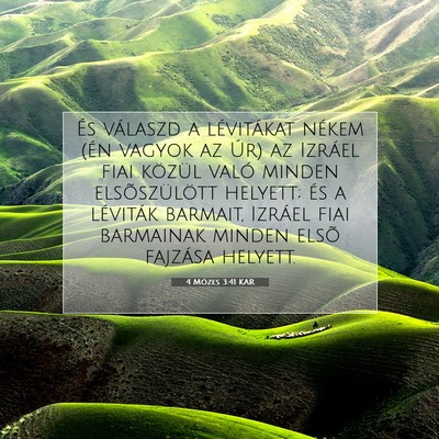 Picture 07 - 4 Mózes 3:41 KAR - És válaszd a lévitákat nékem (én vagyok az - Bible Verse Picture