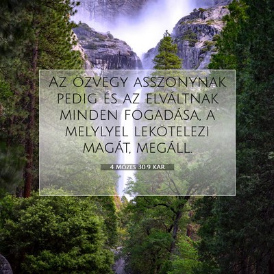 Picture 07 - 4 Mózes 30:9 KAR - Az özvegy asszonynak pedig és az elváltnak - Bible Verse Picture