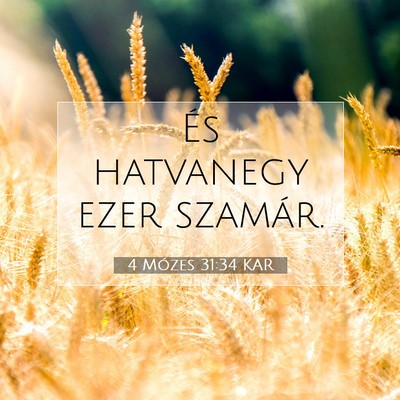 Picture 07 - 4 Mózes 31:34 KAR - És hatvanegy ezer - Bible Verse Picture