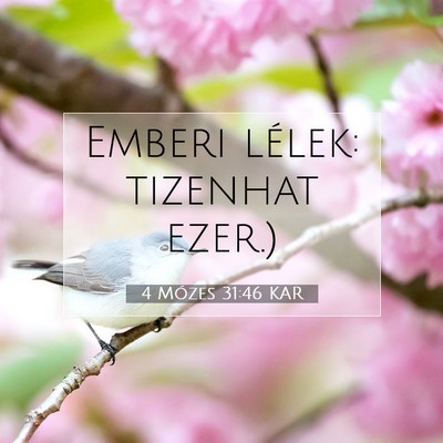 Picture 07 - 4 Mózes 31:46 KAR - Emberi lélek: tizenhat - Bible Verse Picture