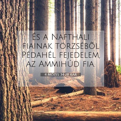 Picture 07 - 4 Mózes 34:28 KAR - És a Nafthali fiainak törzsébõl Pédahél - Bible Verse Picture