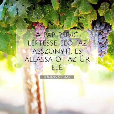 Picture 07 - 4 Mózes 5:16 KAR - A pap pedig léptesse elõ [az asszonyt], és - Bible Verse Picture