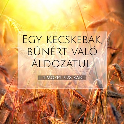 Picture 07 - 4 Mózes 7:28 KAR - Egy kecskebak, bûnért való - Bible Verse Picture