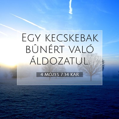 Picture 07 - 4 Mózes 7:34 KAR - Egy kecskebak bûnért való - Bible Verse Picture