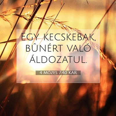 Picture 07 - 4 Mózes 7:40 KAR - Egy kecskebak, bûnért való - Bible Verse Picture