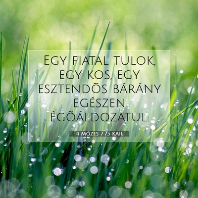 Picture 07 - 4 Mózes 7:75 KAR - Egy fiatal tulok, egy kos, egy esztendõs - Bible Verse Picture
