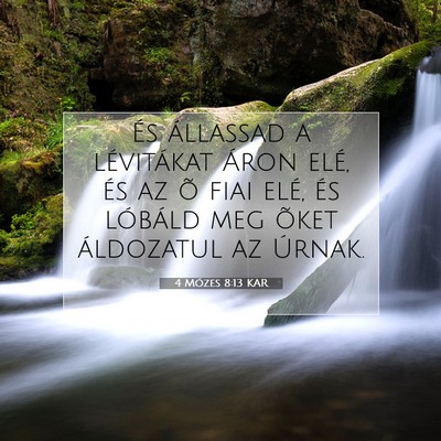Picture 07 - 4 Mózes 8:13 KAR - És állassad a lévitákat Áron elé, és az õ - Bible Verse Picture
