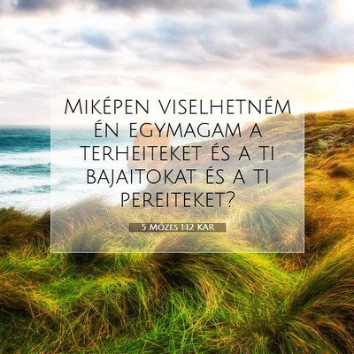 Picture 07 - 5 Mózes 1:12 KAR - Miképen viselhetném én egymagam a terheiteket - Bible Verse Picture