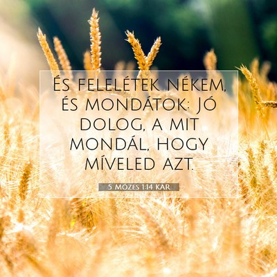 Picture 07 - 5 Mózes 1:14 KAR - És felelétek nékem, és mondátok: Jó dolog, - Bible Verse Picture