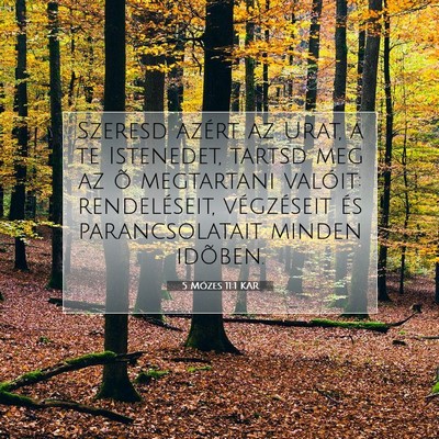 Picture 07 - 5 Mózes 11:1 KAR - Szeresd azért az Urat, a te Istenedet, tartsd - Bible Verse Picture