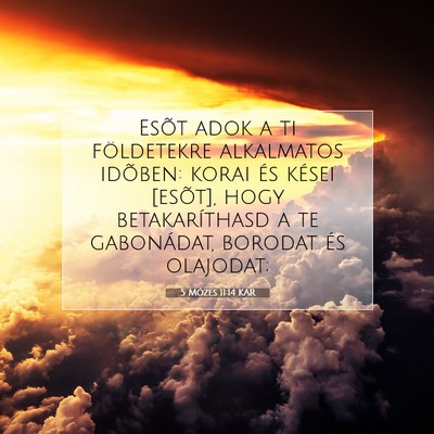 Picture 07 - 5 Mózes 11:14 KAR - Esõt adok a ti földetekre alkalmatos idõben: - Bible Verse Picture