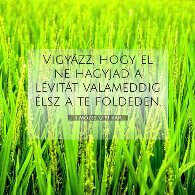 Picture 07 - 5 Mózes 12:19 KAR - Vigyázz, hogy el ne hagyjad a lévitát - Bible Verse Picture