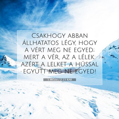 Picture 07 - 5 Mózes 12:23 KAR - Csakhogy abban állhatatos légy, hogy a vért - Bible Verse Picture