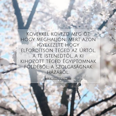Picture 07 - 5 Mózes 13:10 KAR - Kövekkel kövezd meg õt, hogy meghaljon; mert - Bible Verse Picture