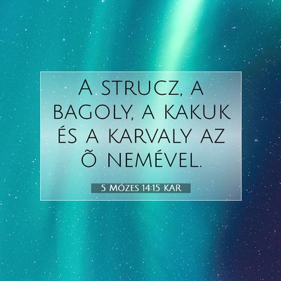 Picture 07 - 5 Mózes 14:15 KAR - A strucz, a bagoly, a kakuk és a karvaly az õ - Bible Verse Picture